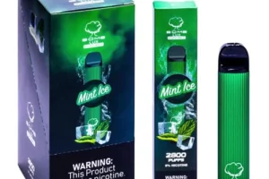 Bomb LUX Mint Ice – Disposable Vape Flavors