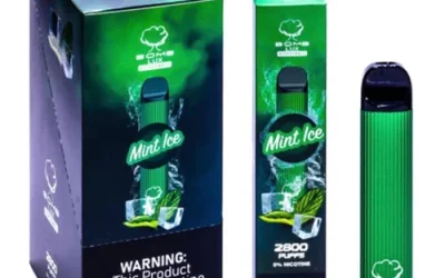 Bomb LUX Mint Ice – Disposable Vape Flavors