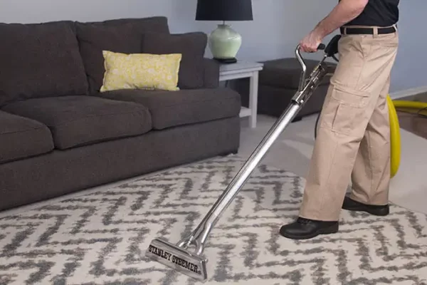 Professional Carpet and Rug Cleaning Service